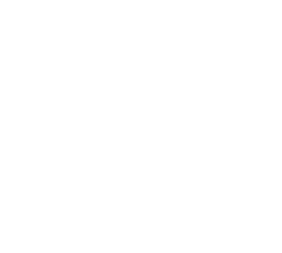 Aconinternacional